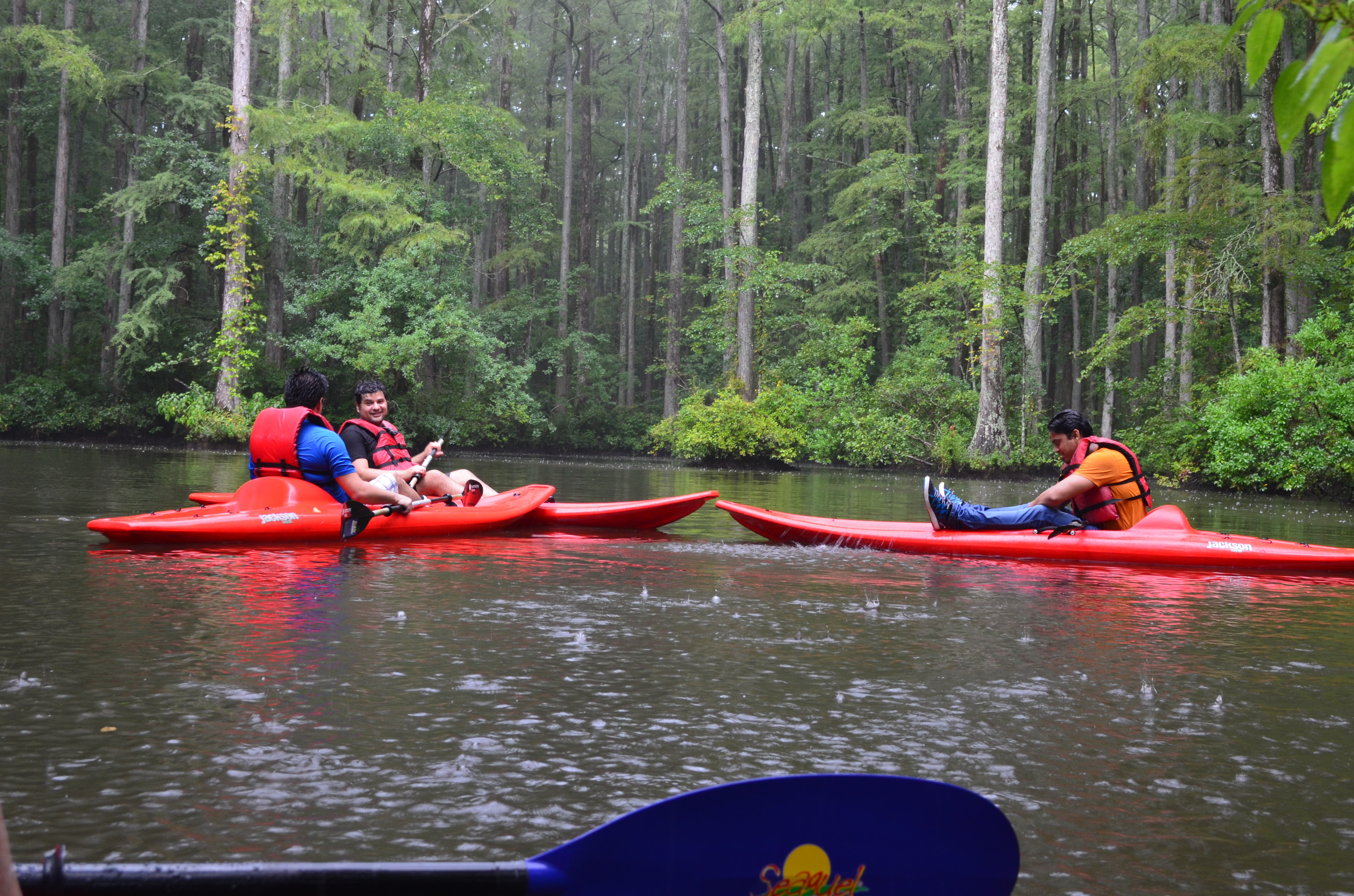 ./2017/13 - Roberson Millpond Preserve/DSC_0579.JPG